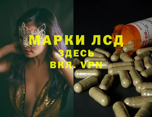 ешки Аркадак