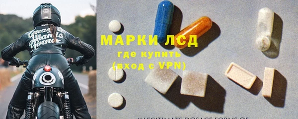 ешки Аркадак