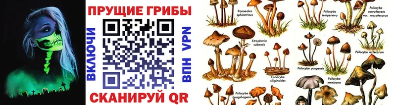 Галлюциногенные грибы мухоморы  где можно купить наркотик  Николаевск-на-Амуре 